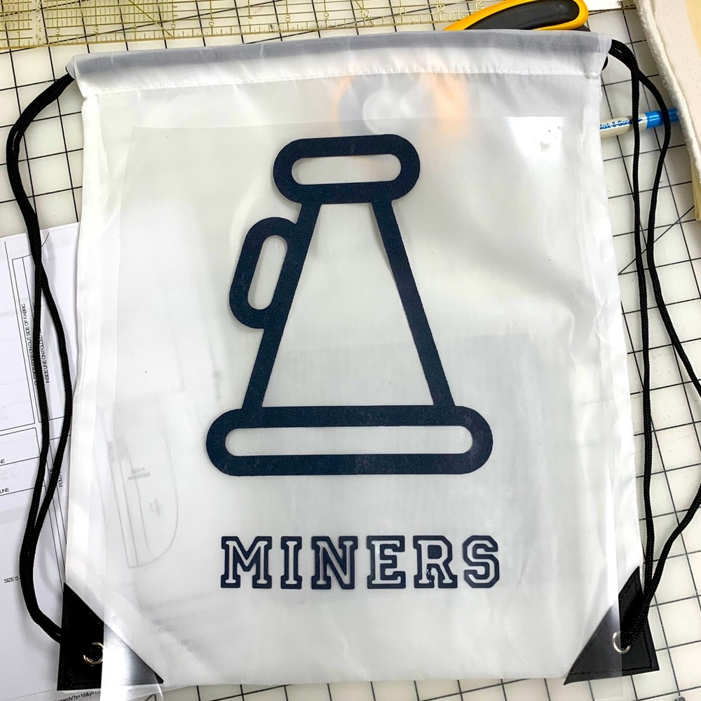 Cheer/dance bags